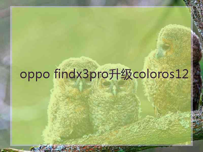 oppo findx3pro升级coloros12