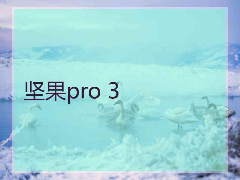 坚果pro 3