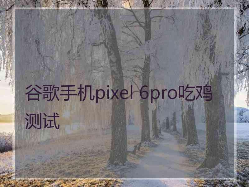 谷歌手机pixel 6pro吃鸡测试