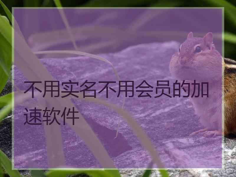 不用实名不用会员的加速软件