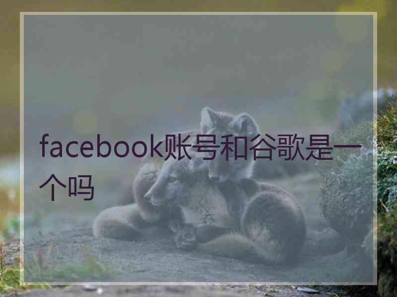 facebook账号和谷歌是一个吗