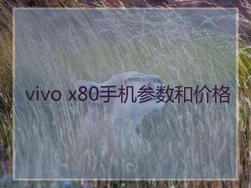 vivo x80手机参数和价格