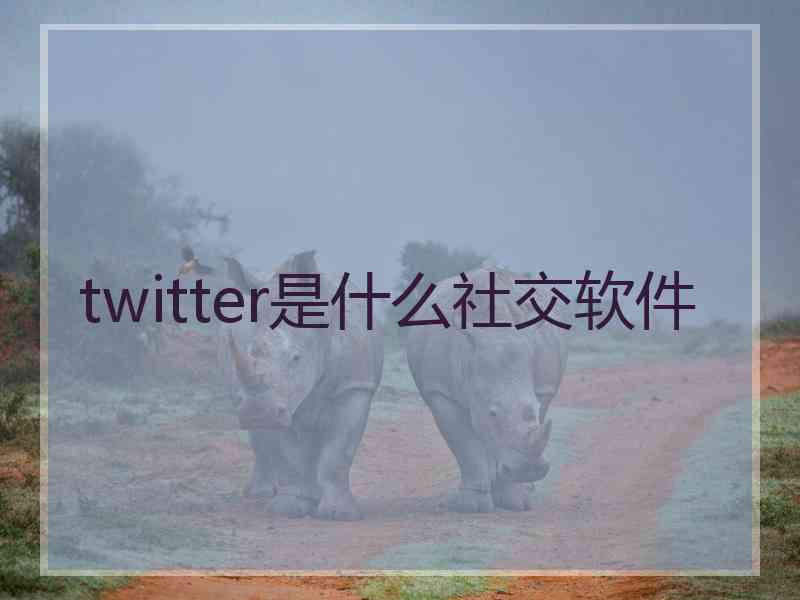 twitter是什么社交软件