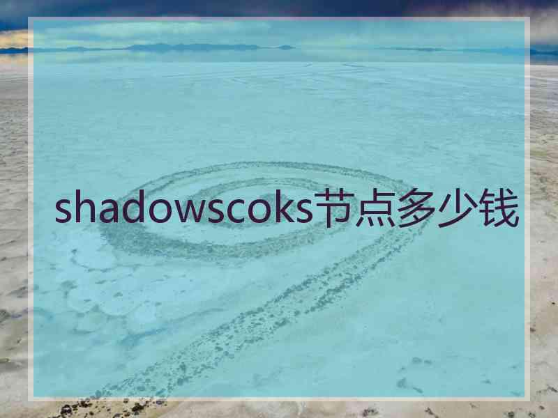 shadowscoks节点多少钱