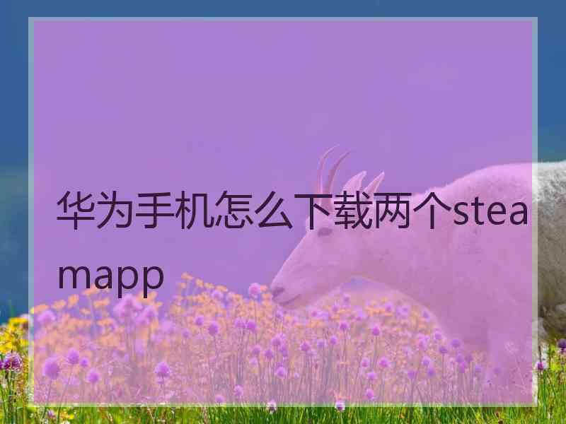 华为手机怎么下载两个steamapp