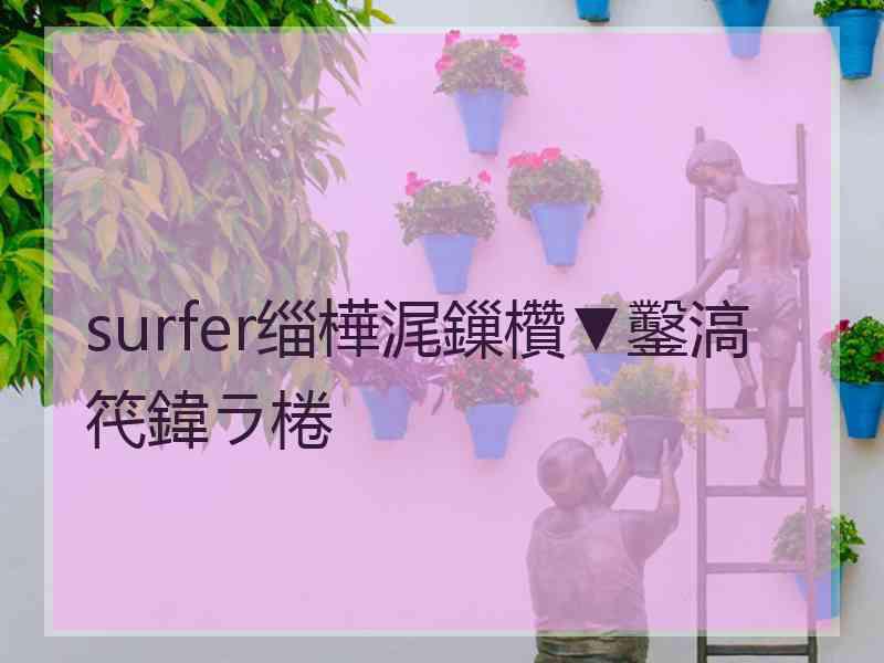 surfer缁樺浘鏁欑▼鑿滈笩鍏ラ棬