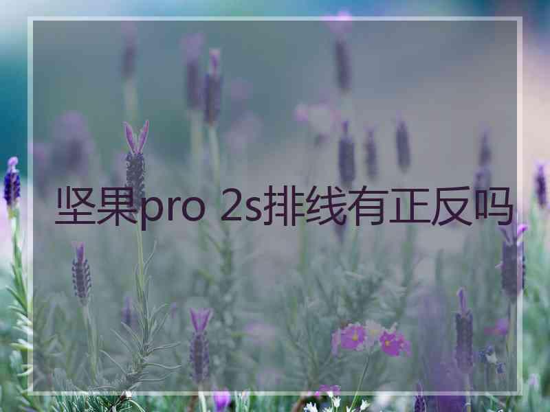 坚果pro 2s排线有正反吗