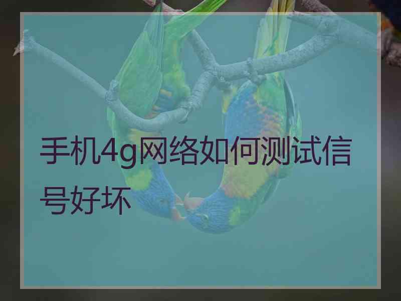 手机4g网络如何测试信号好坏