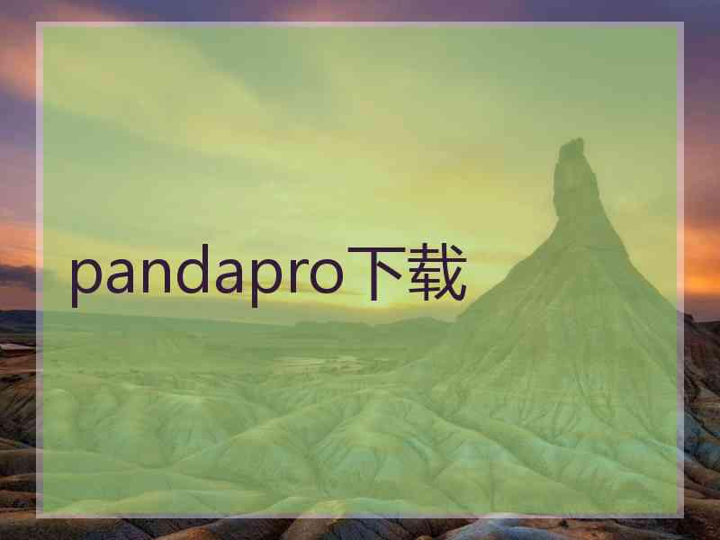 pandapro下载