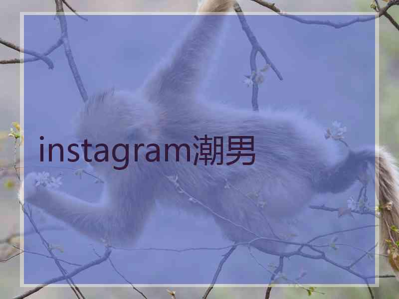 instagram潮男