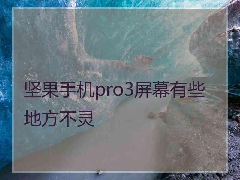 坚果手机pro3屏幕有些地方不灵