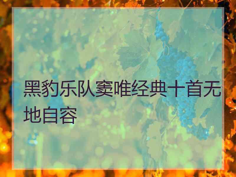 黑豹乐队窦唯经典十首无地自容