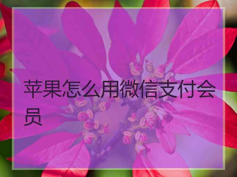 苹果怎么用微信支付会员