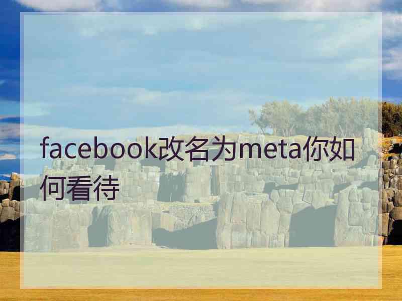 facebook改名为meta你如何看待