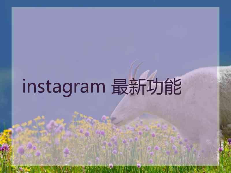 instagram 最新功能