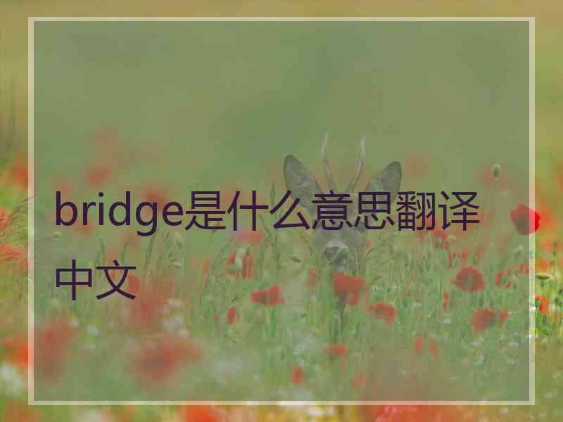 bridge是什么意思翻译中文