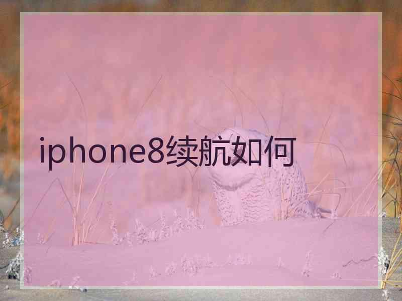 iphone8续航如何