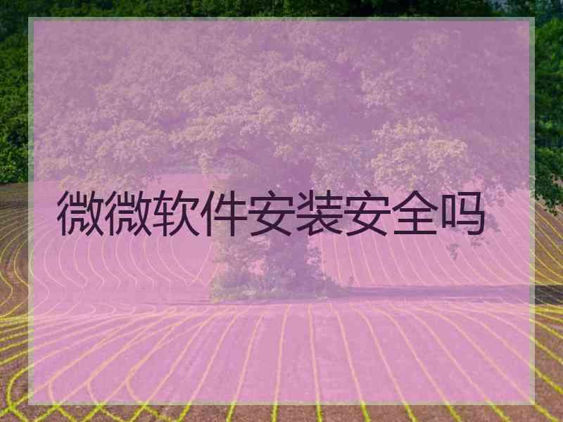 微微软件安装安全吗