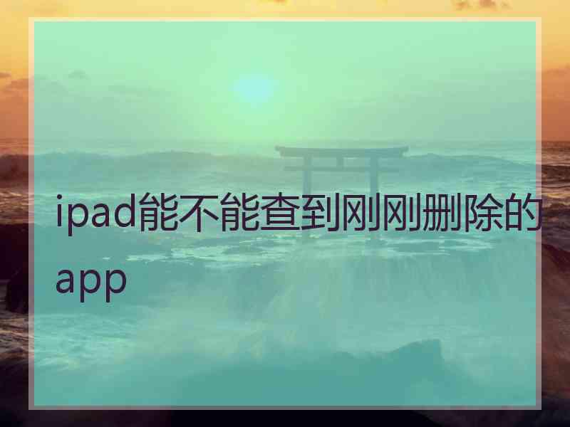 ipad能不能查到刚刚删除的app