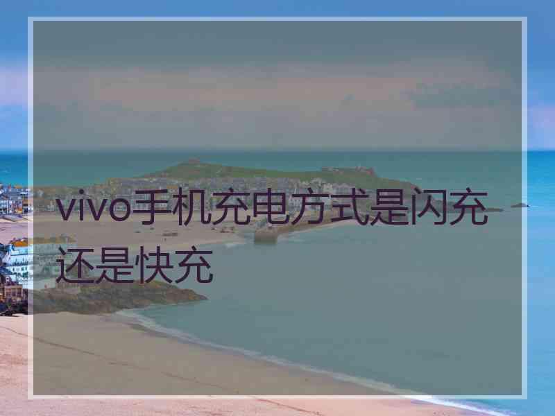 vivo手机充电方式是闪充还是快充