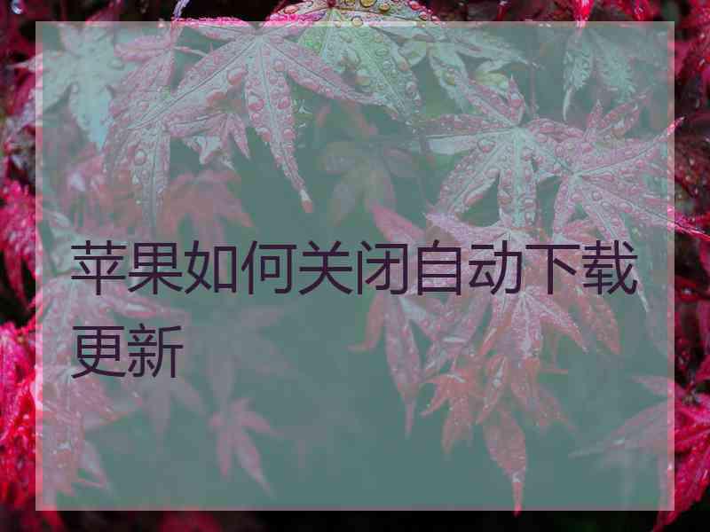 苹果如何关闭自动下载更新