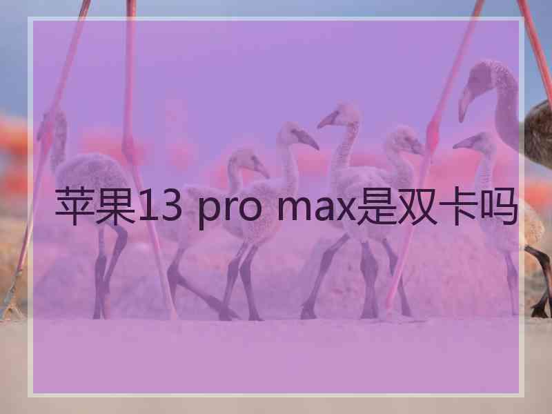 苹果13 pro max是双卡吗