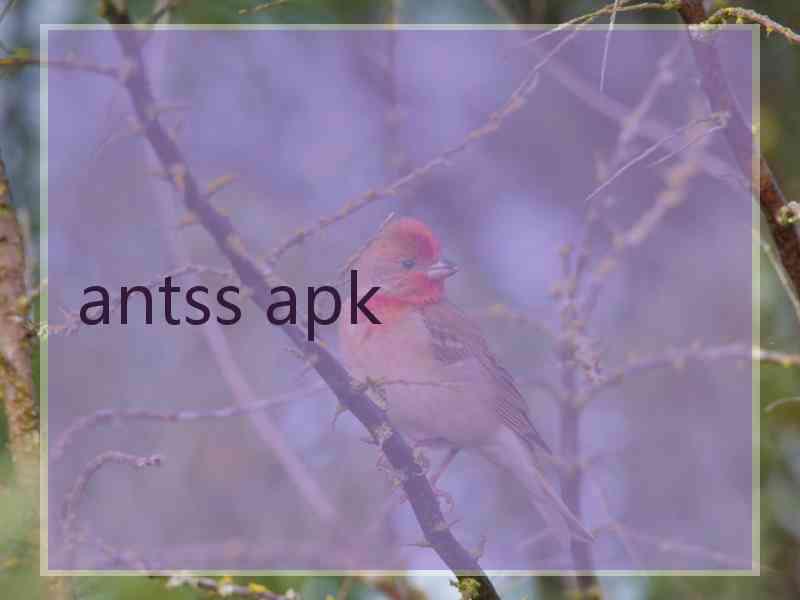 antss apk