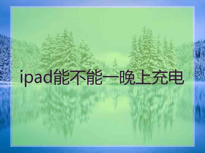 ipad能不能一晚上充电