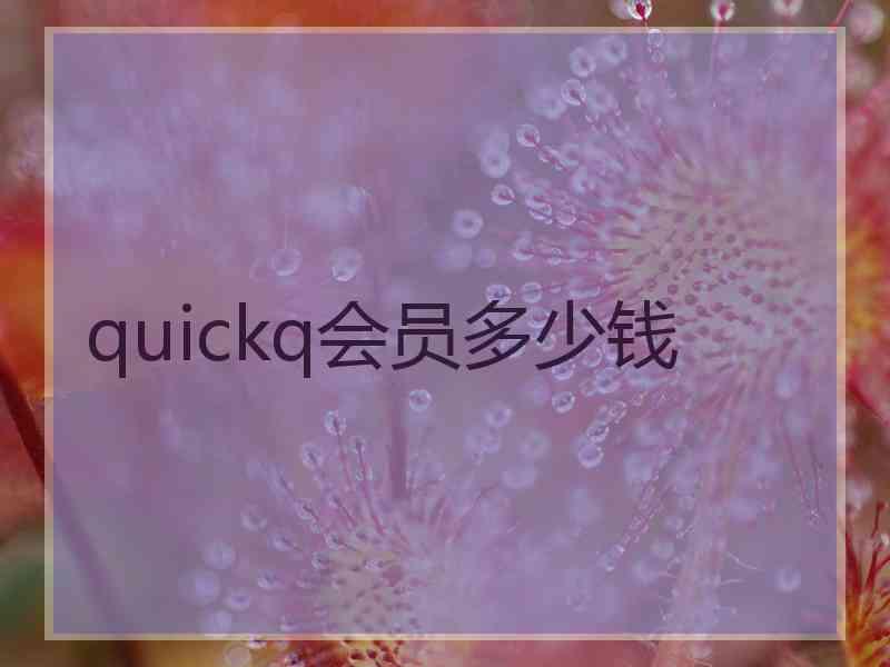 quickq会员多少钱