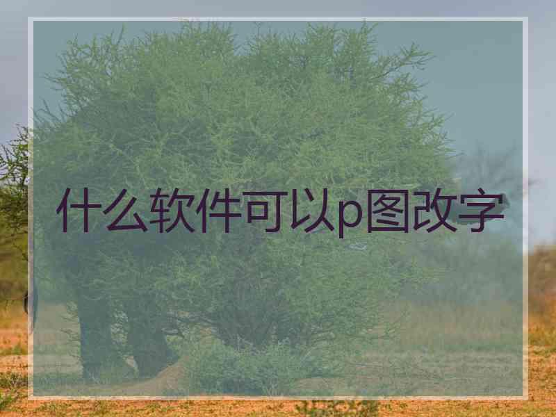 什么软件可以p图改字