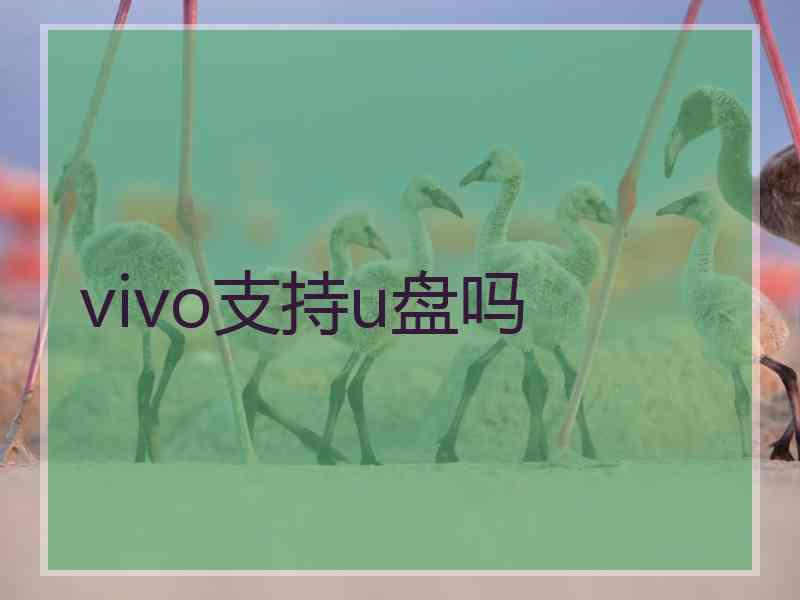 vivo支持u盘吗