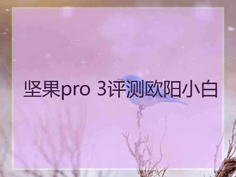 坚果pro 3评测欧阳小白