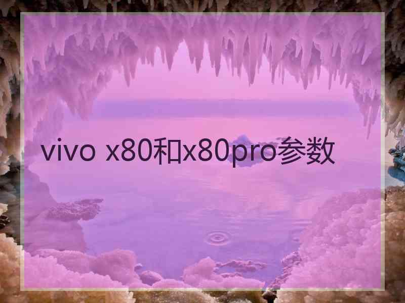 vivo x80和x80pro参数