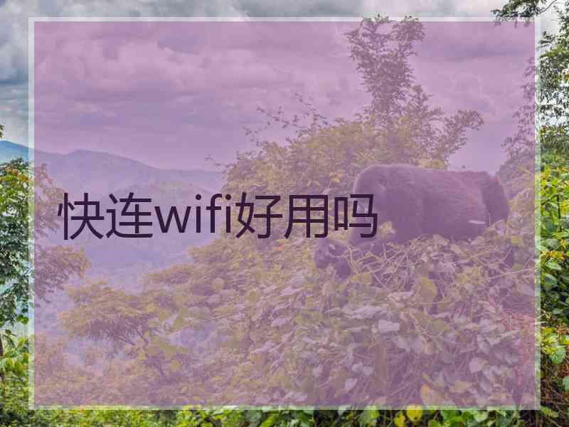 快连wifi好用吗