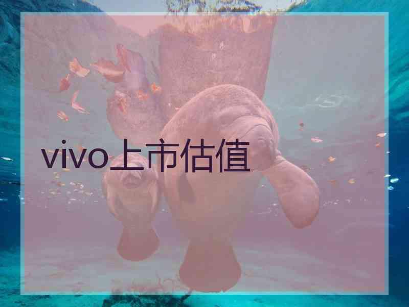 vivo上市估值