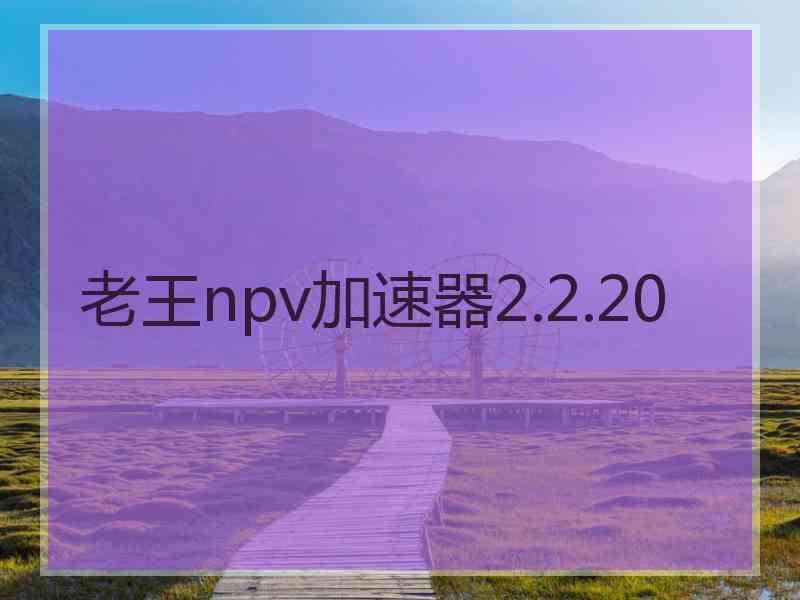 老王npv加速器2.2.20