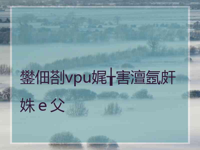 鐢佃剳vpu娓╁害澶氬皯姝ｅ父