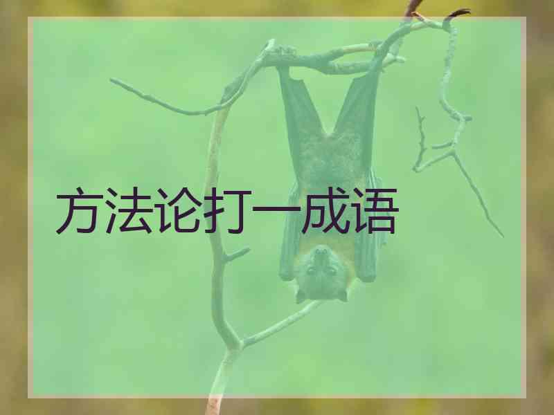 方法论打一成语