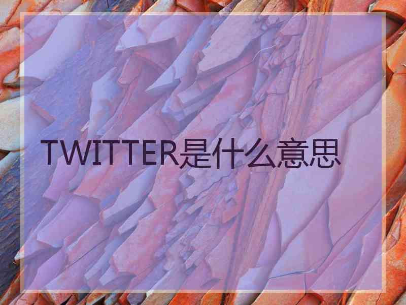 TWITTER是什么意思