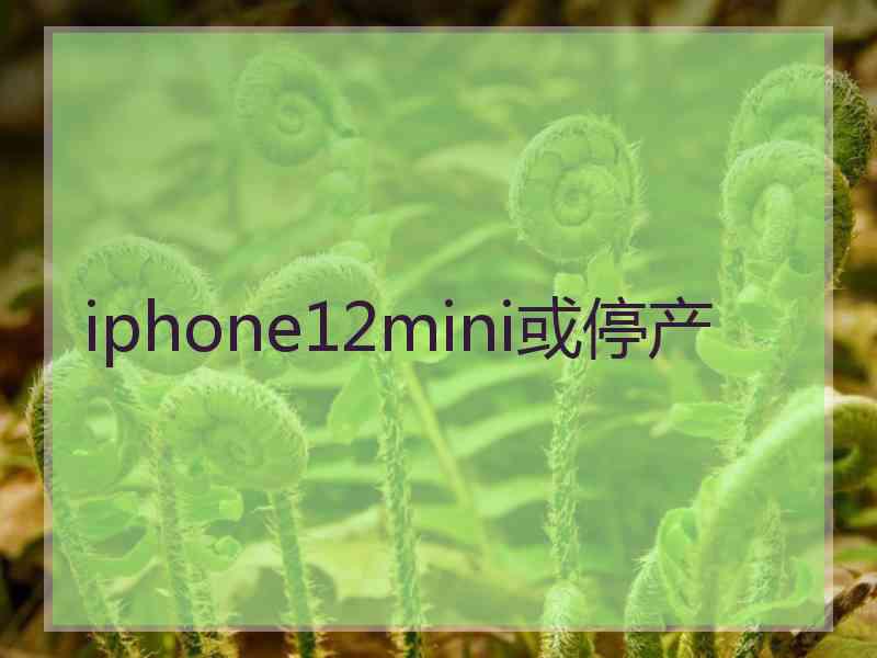 iphone12mini或停产