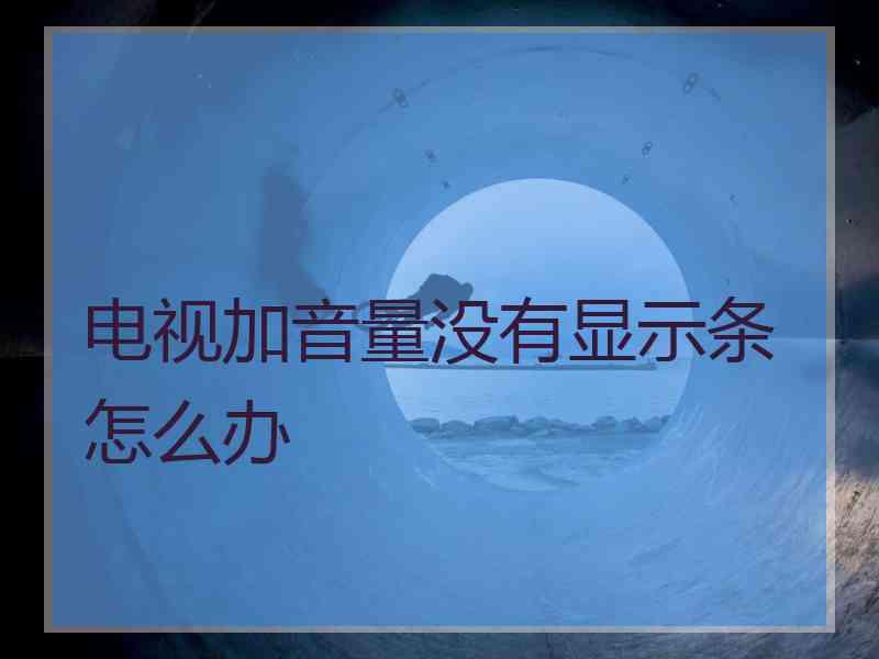 电视加音量没有显示条怎么办