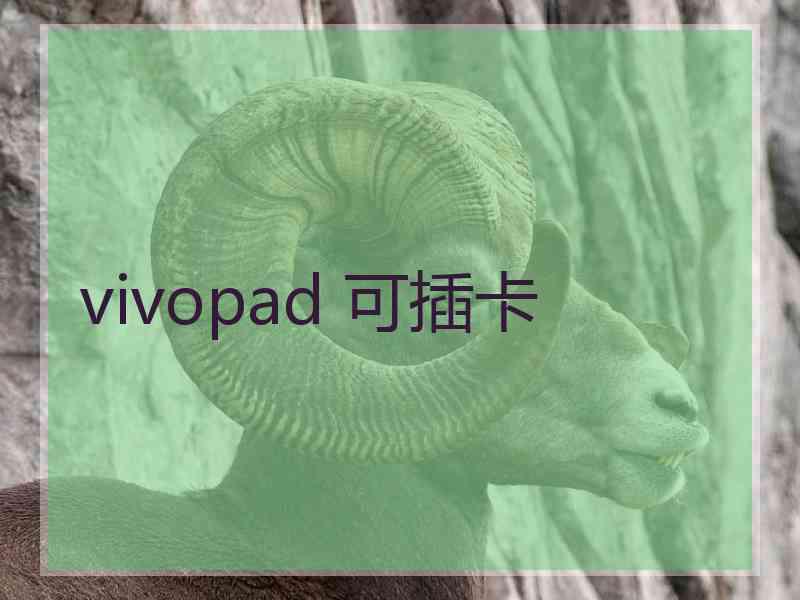 vivopad 可插卡