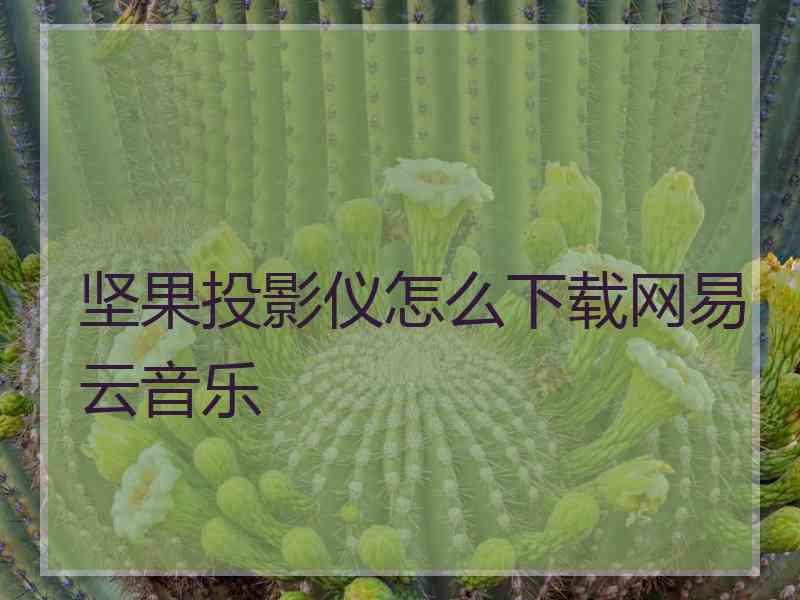 坚果投影仪怎么下载网易云音乐