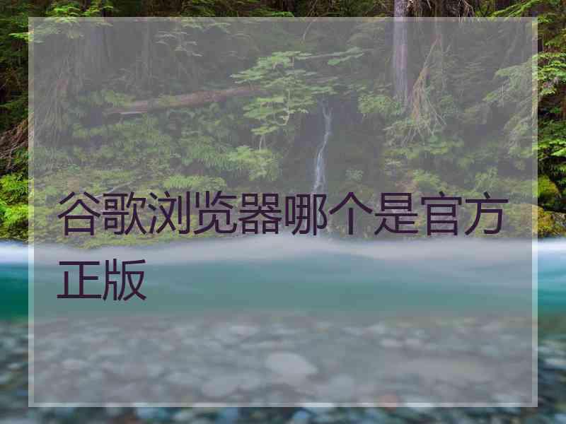 谷歌浏览器哪个是官方正版