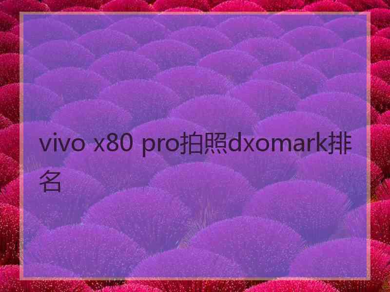 vivo x80 pro拍照dxomark排名