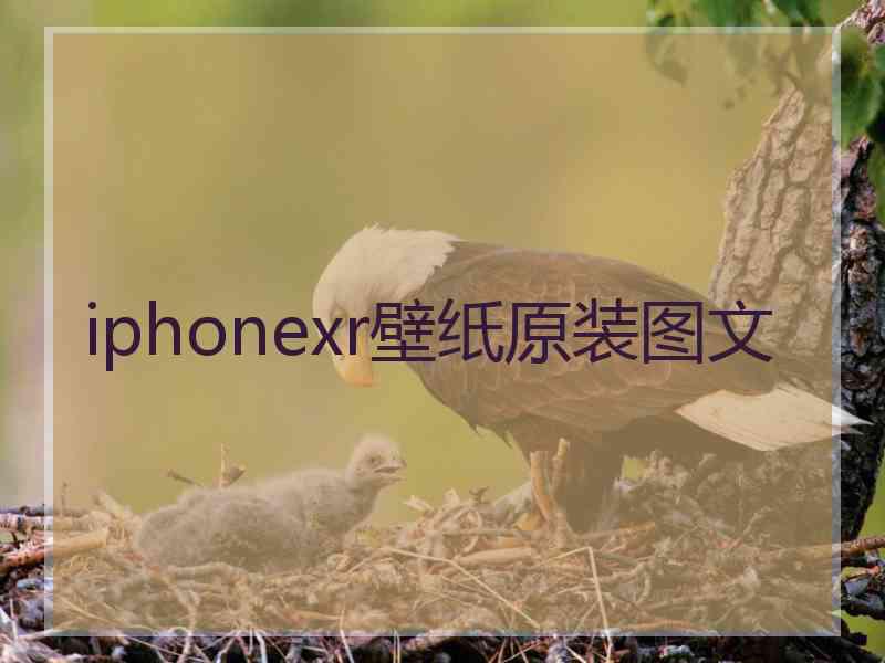 iphonexr壁纸原装图文