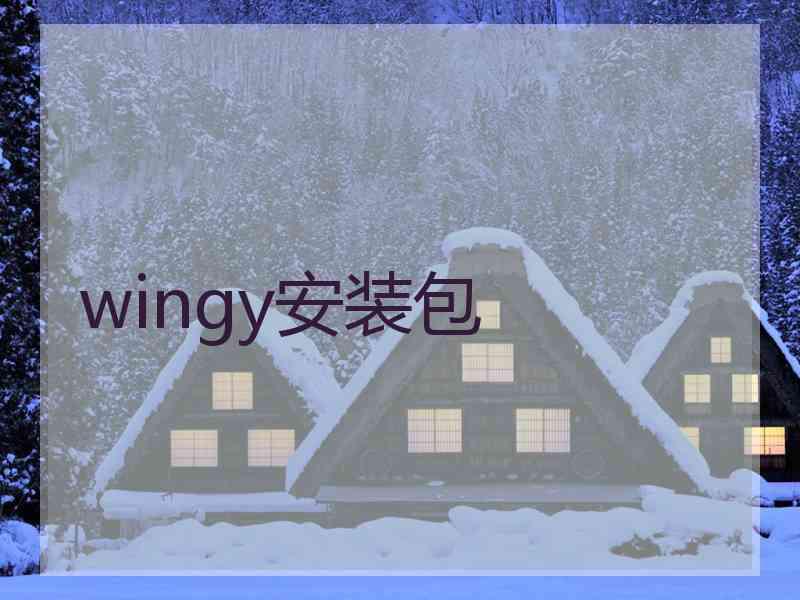 wingy安装包