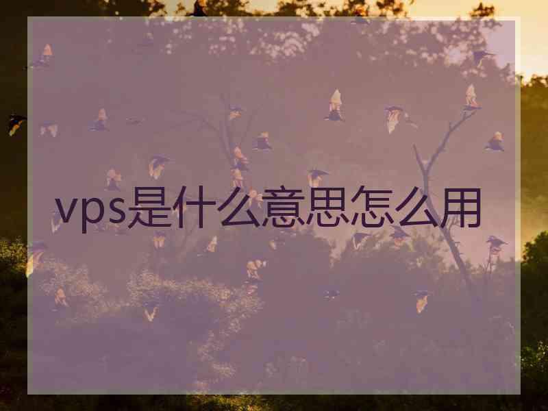 vps是什么意思怎么用