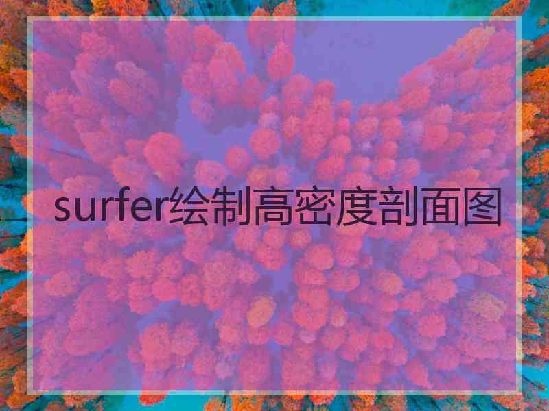 surfer绘制高密度剖面图