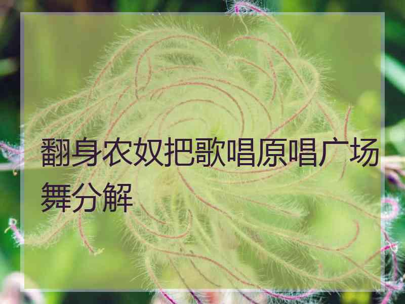 翻身农奴把歌唱原唱广场舞分解